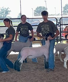 Reserve Champion Market Lamb
Macon County Fair