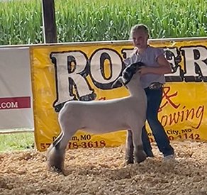 Reserve Supreme Ewe
Ralls County Open Show