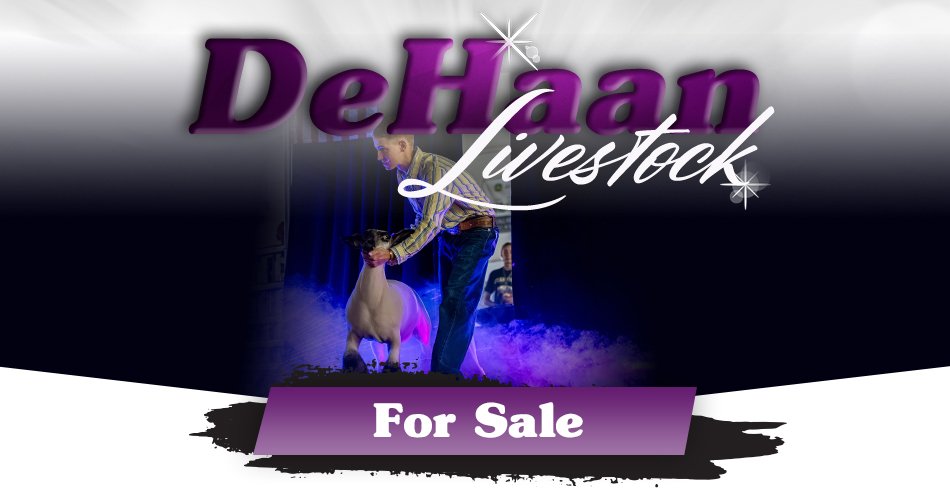 For Sale