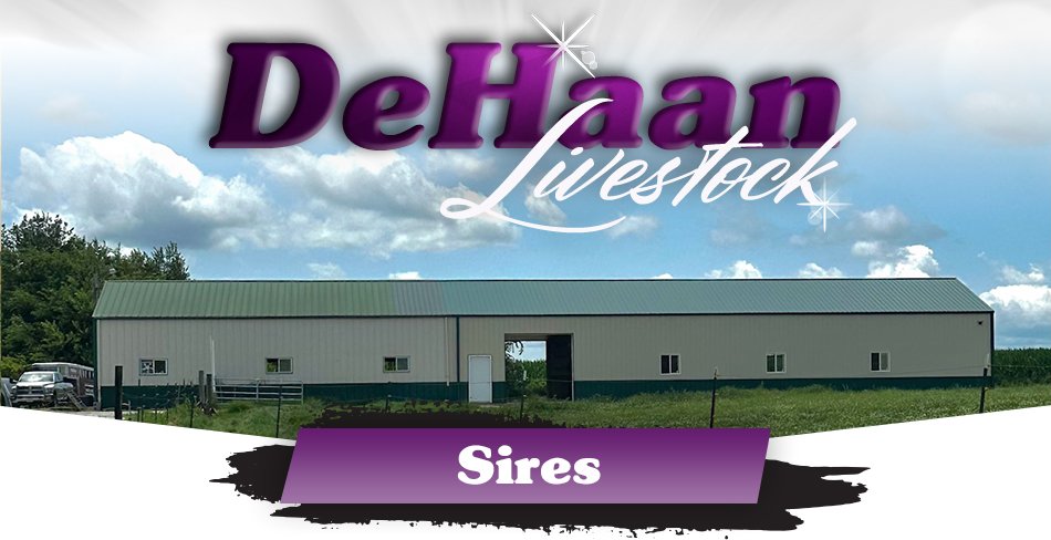 Sires