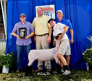 Dehaan Winners