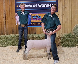 Reserve Champion Registered Breeding Ewe
Arizona State Fair