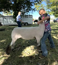 3rd Overall Market Lamb
Castor River Showdown (MO)