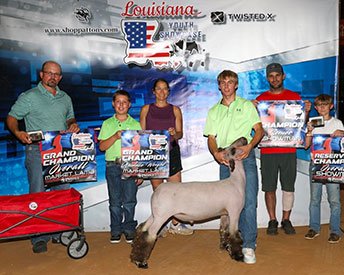 Grand Champion Market Lamb
Louisiana Youth Showcase