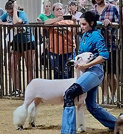 Reserve Champion Market Lamb
Bryan County Free Fair (OK)